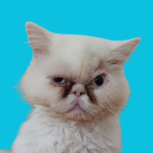 Carlos