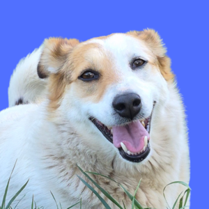 Karen