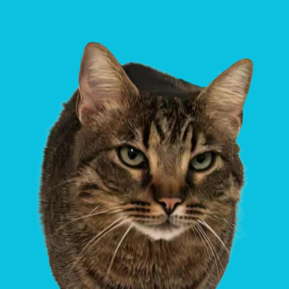 Simbu