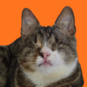 Norman