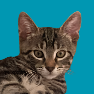 Zuko