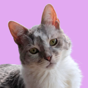 ZoeNika